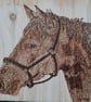 Horse design burnt onto natural wood