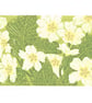 Primroses - Original Linocut Reduction Print - Image 1