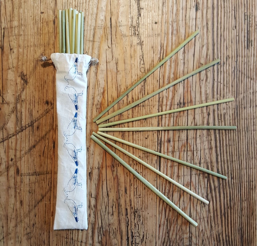 Compostable grass straws in a hand screen printed reuseable drawstring bag