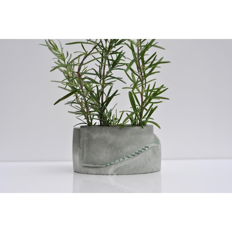 Small Concrete Planter: Handmade Minimalist Home Decor, Herb & Succulent Pot