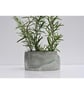 Small Concrete Planter: Handmade Minimalist Home Decor, Herb & Succulent Pot