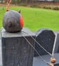 Rustic Robin - Image 3