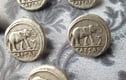 Novelty & Themed Buttons 