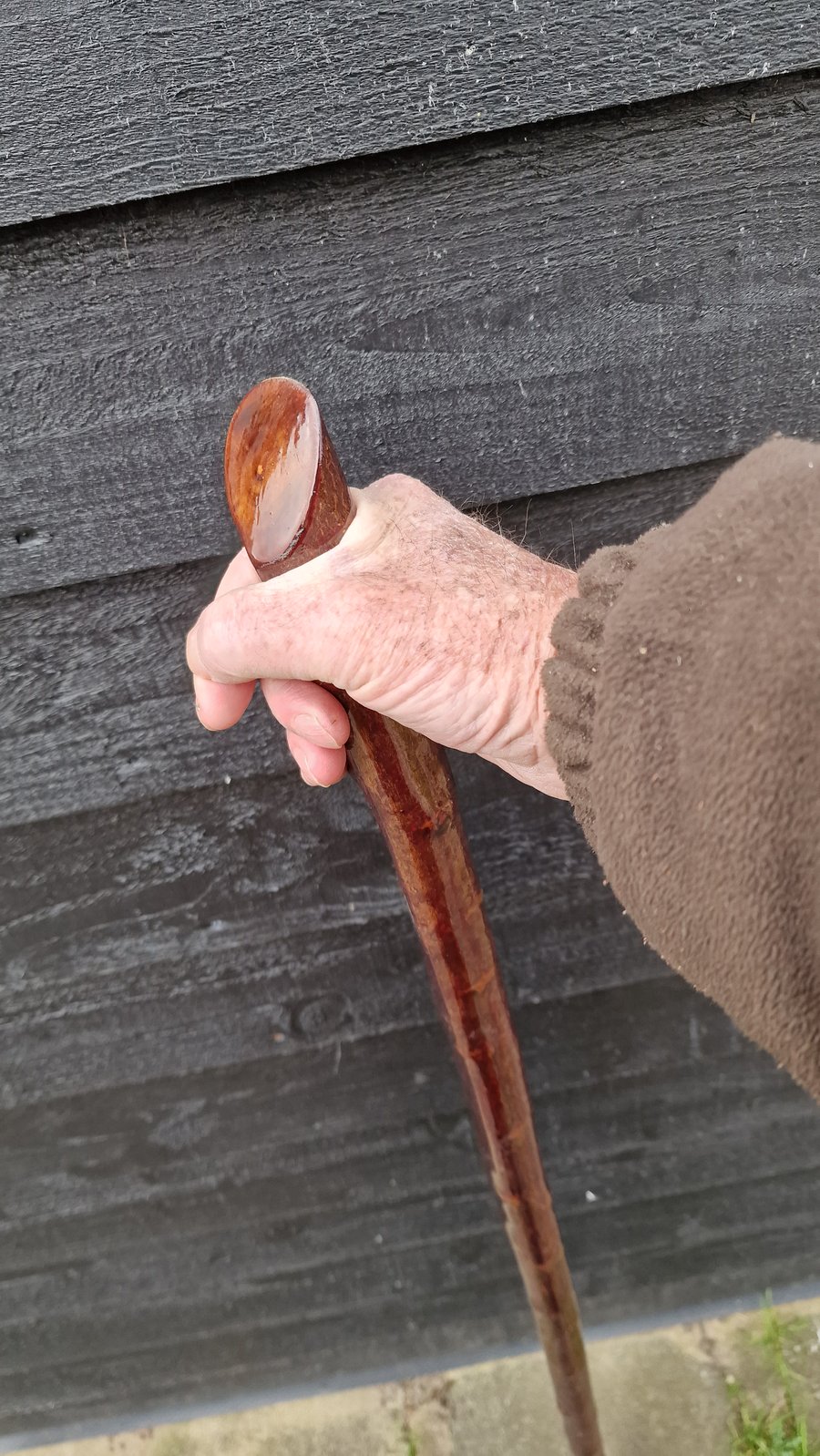 Blackthorn staff, Walking stick