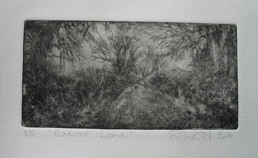 Moody drypoint etching 'Exmoor Lane'