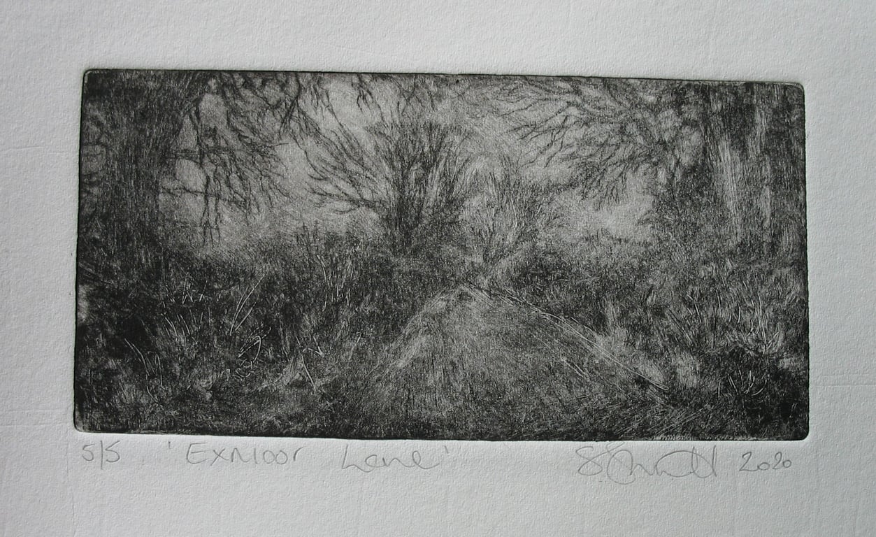 Moody drypoint etching 'Exmoor Lane'