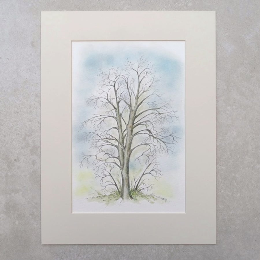 Original Watercolour Illustration 'Winter Chestnut Tree' (Mount size 16" x 12")
