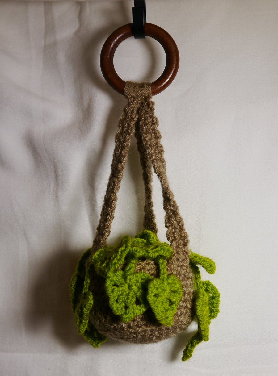 Hanging Crochet Plant