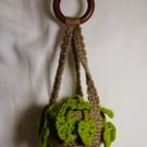 Hanging Crochet Plant