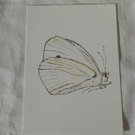 Cards, Greetings Card, Butterfly, Flat, Blank, Printed From Original Artwork