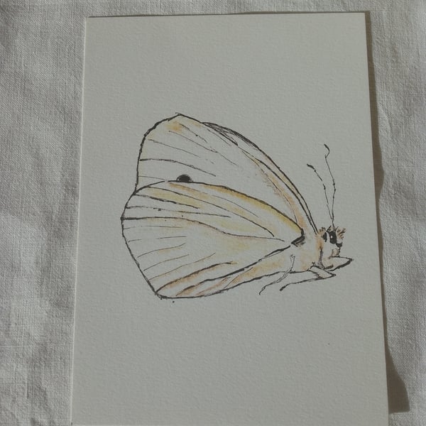 Cards, Greetings Card, Butterfly, Flat, Blank, Printed From Original Artwork