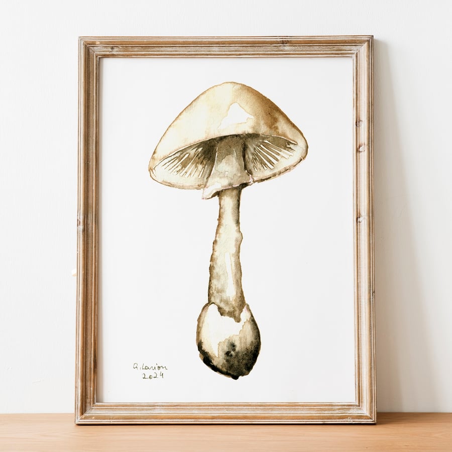Destroying Angel A5 Inkjet Print