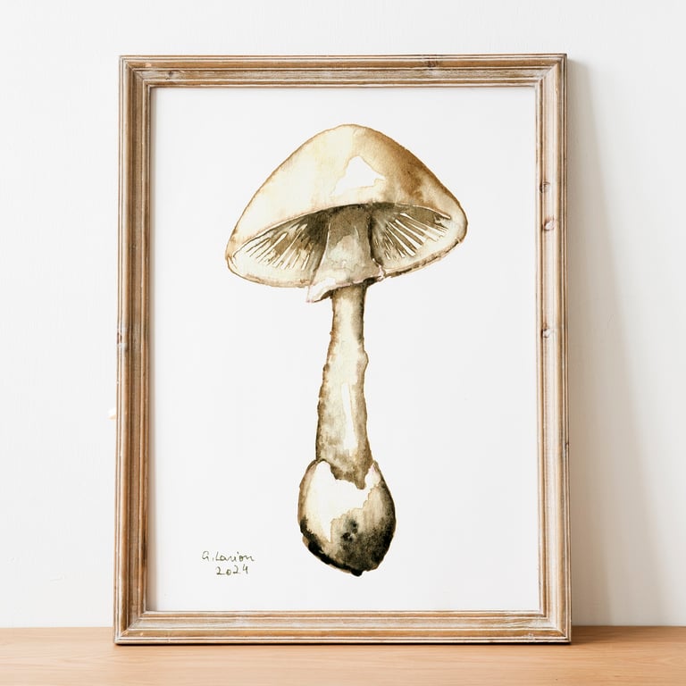 Destroying Angel A5 Inkjet Print