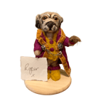  Meet Roger, a distinguished pug in a rich plum coat and Tink the Robin