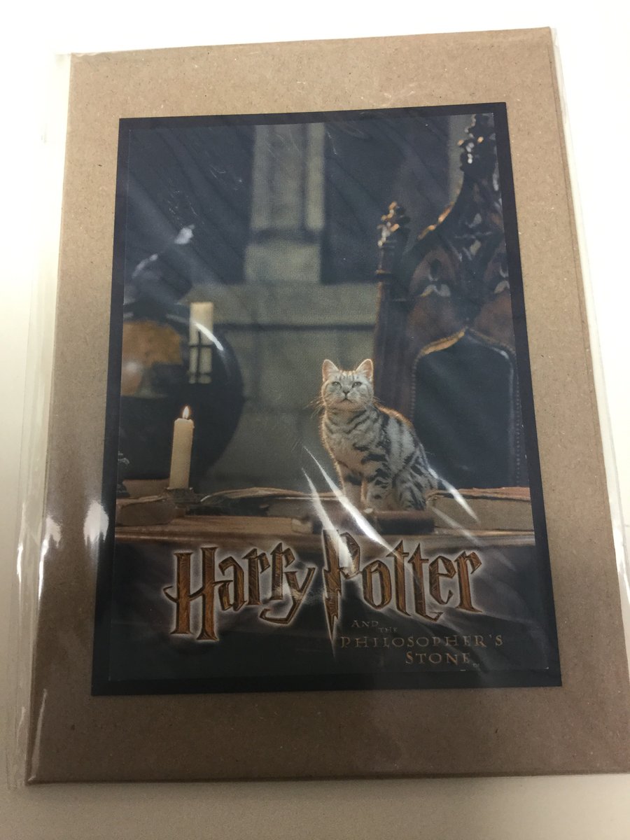 Harry Potter Greeting Card McGonaggal Animagus