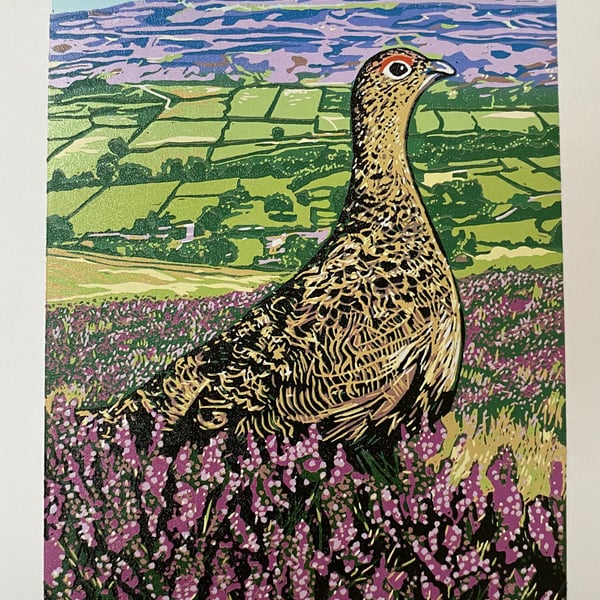 Swaledale Red Grouse. - Handmade Limited Edition Lino Print 