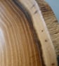 UNIQUE ELLIPTICAL  NATURAL  EDGE   BOWL - Image 5