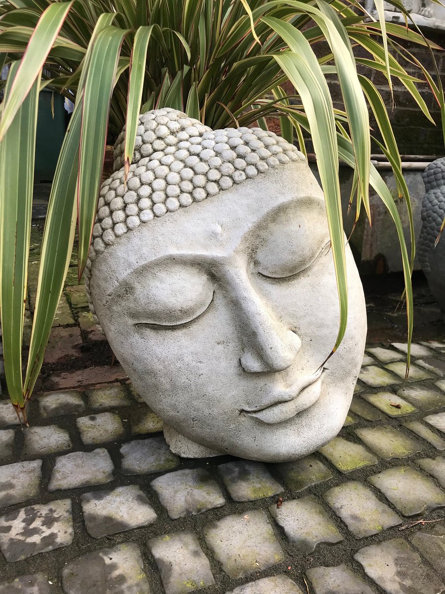 Buddha Head Statue