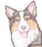 Holly the Border Collie  - Keyring - Image 2