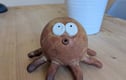 Sea creatures 