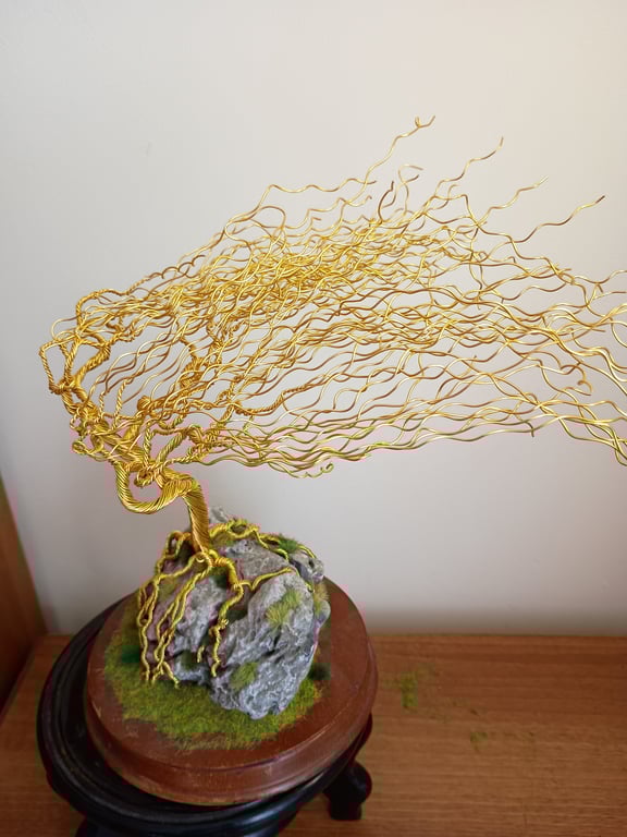 The tortured old windswept willow 