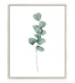 Eucalyptus wall prints, eucalyptus wall decor, botanical wall art prints - Image 5
