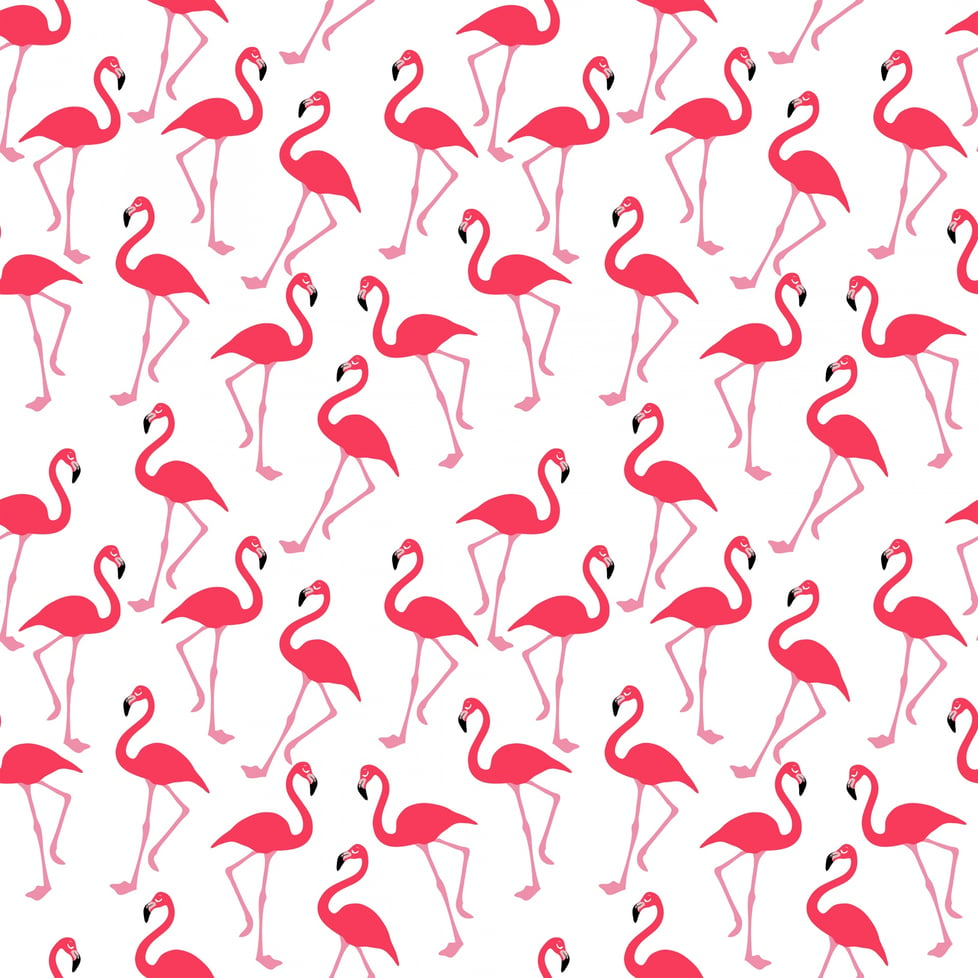 Pretty Flamingo65