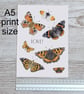 Butterfly Art Print - A5 size - Scottish wildlife illustration - Image 4