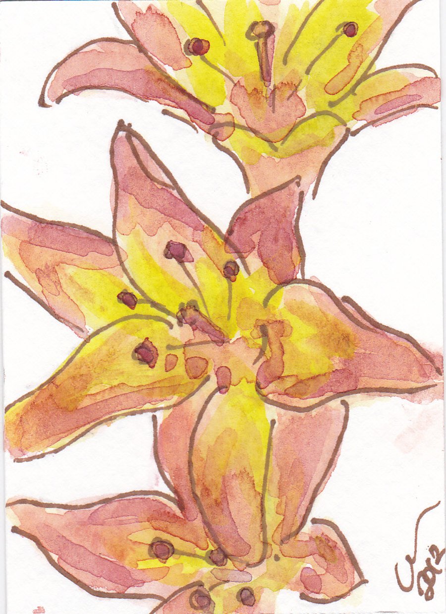 ACEO Floral Art Orange Lilies Original Watercolour and Ink Painting OOAK 