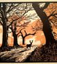 Autumn Morning in Richmond Park