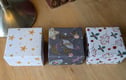 Raised Lid Square Boxes
