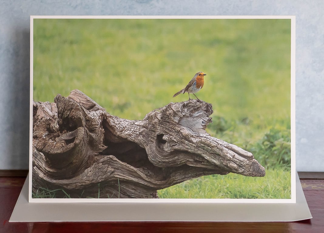 Robin on Log Ethically Made A5 Blank Card
