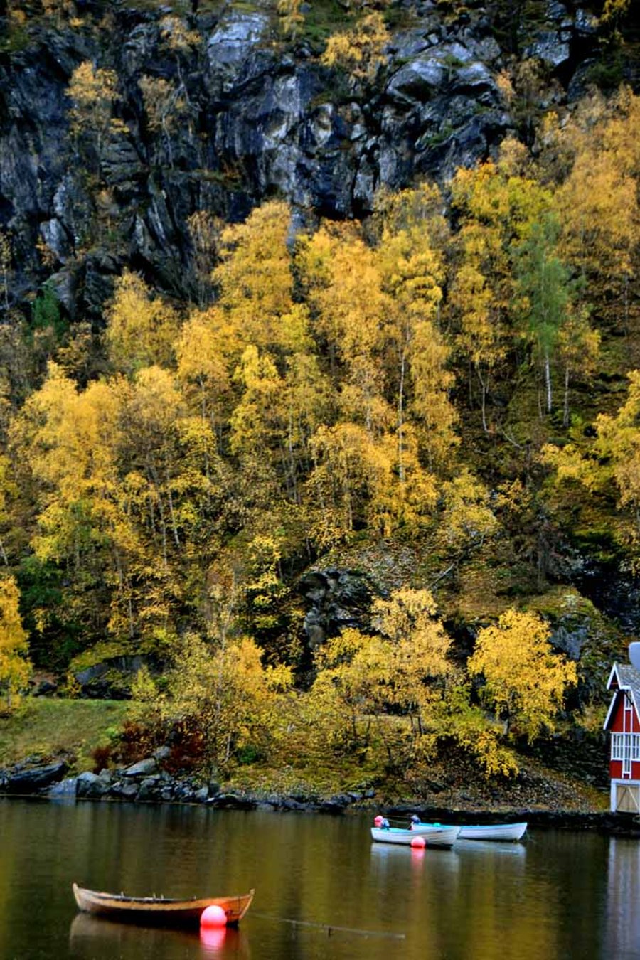 Flam Aurlandsfjord Norway Scandinavia 12"x18" Print