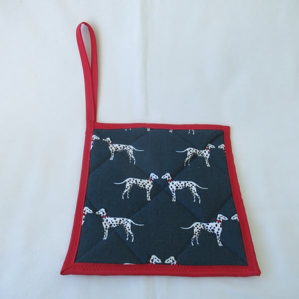 Pot Holder, Oven Glove, Handmade from Sophie Allport Fabric