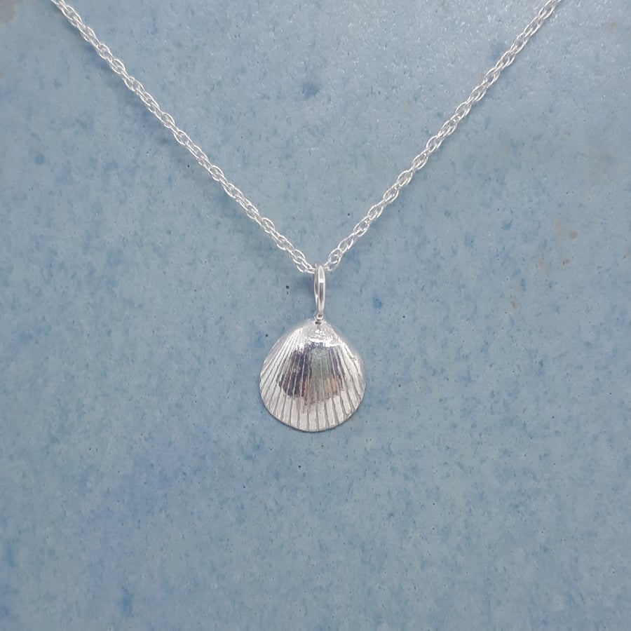 Tiny fine silver cockle shell necklace