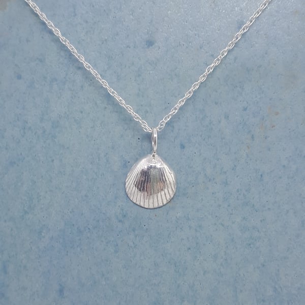 Tiny fine silver cockle shell necklace