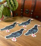 Cornish Chough Sticker - Cornwall Stickers  - Image 3