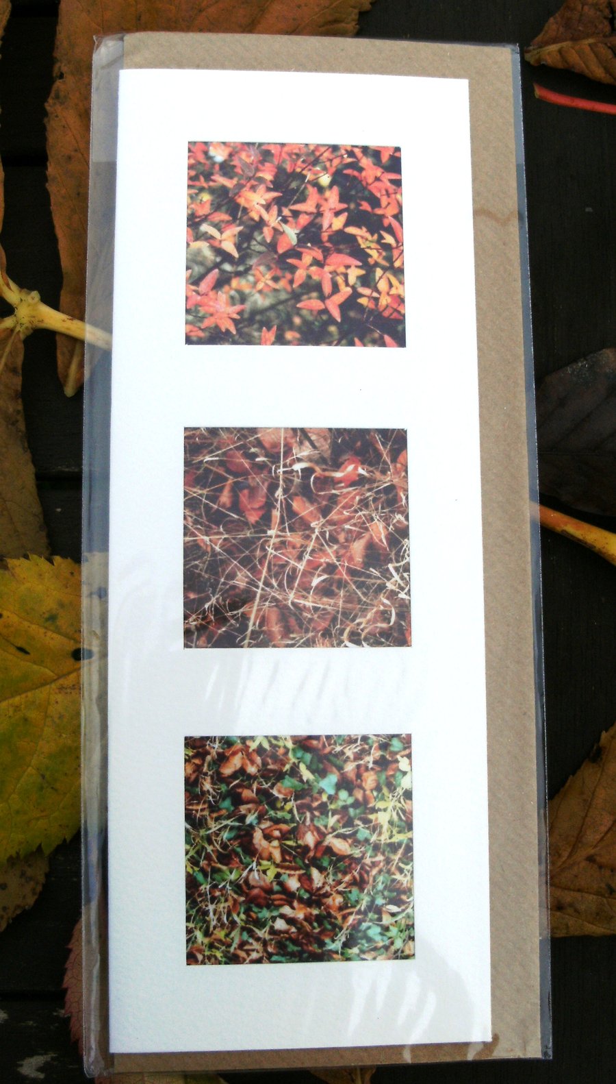 PHOTO CARDS - Autumn Leaves triple