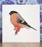 Bullfinch Blank Card - Image 1