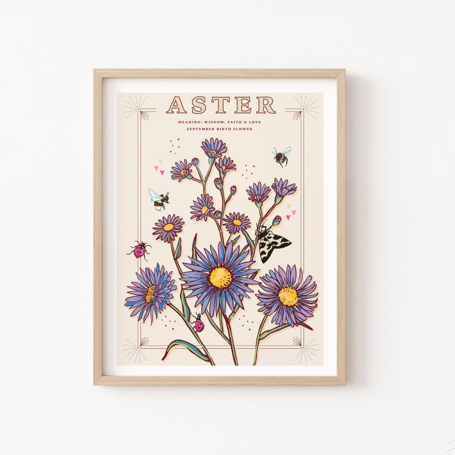 Aster, September Birth Flower, language of Flowers Illustration Print