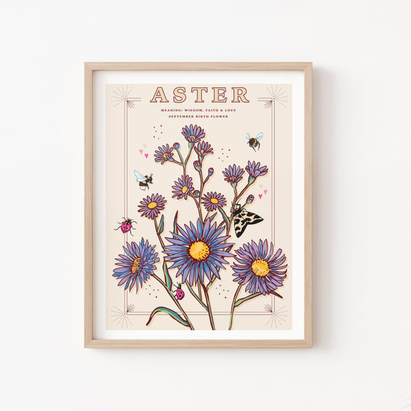 Aster, September Birth Flower, language of Flowers Illustration Print