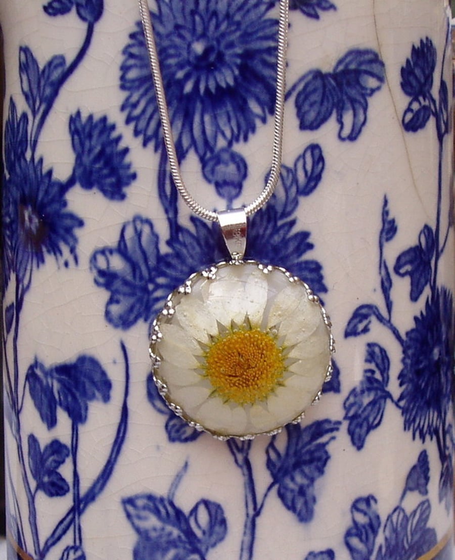 Real  Daisy Necklace 