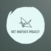 Not Another Project 