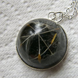 Real Dandelion Seeds Wish Necklace Botanical Specimen - MAKE A WISH