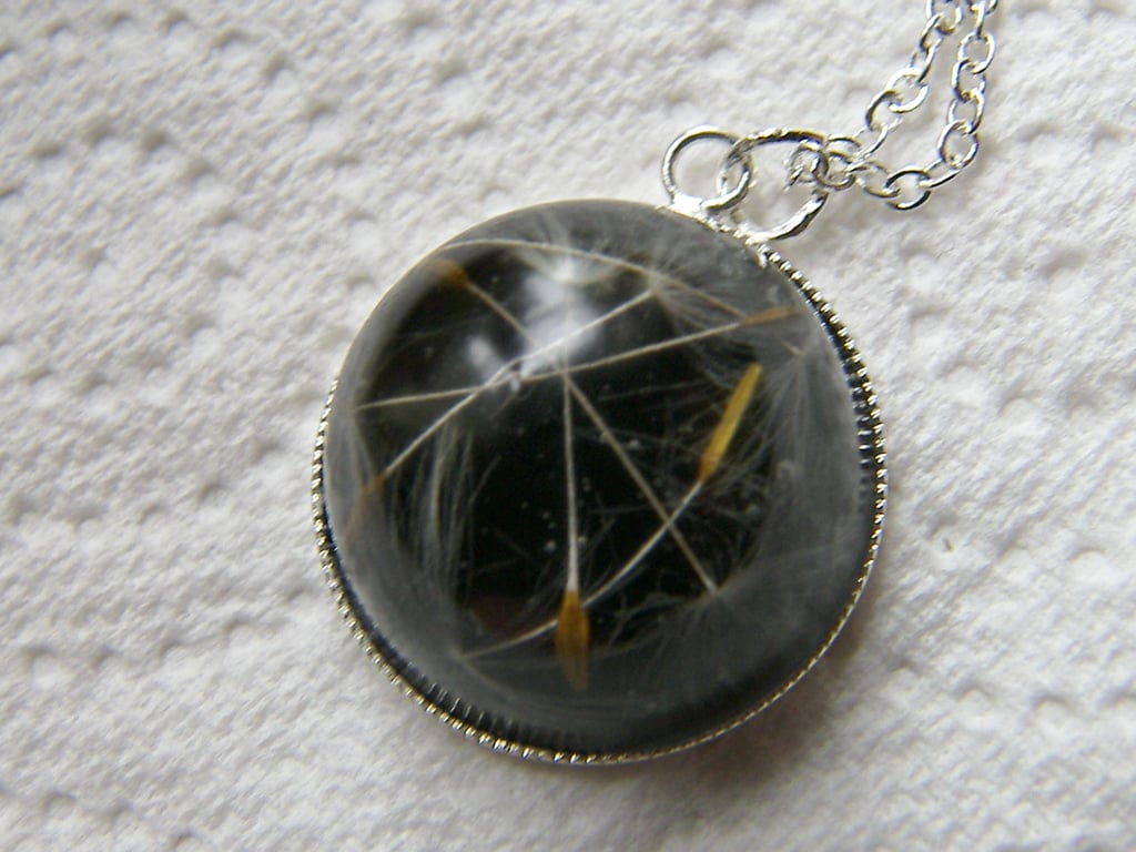 Real Dandelion Seeds Wish Necklace Botanical Specimen - MAKE A WISH