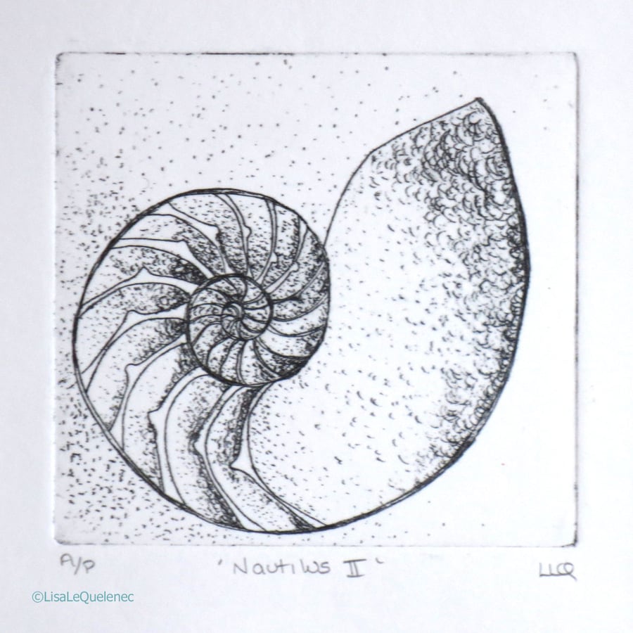 Nautilus etching print ready to frame sea shell cross section