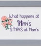 What Happens at Nan's Stays at Nan's – Funny Handmade Cross Stitch Gift 6x4