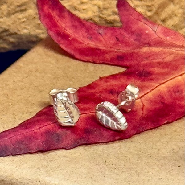 Tiny silver leaf stud earrings in a jar 
