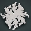 Mirrored acrylic coasters with leaf design
