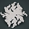 Mirrored acrylic coasters with leaf design